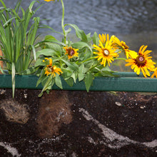 Load image into Gallery viewer, PlayMore Design RootView Planter for ecology, environmental and sience learning.