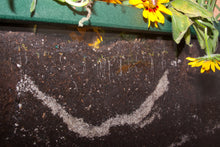 Load image into Gallery viewer, PlayMore Design RootView Planter for ecology, environmental and sience learning.
